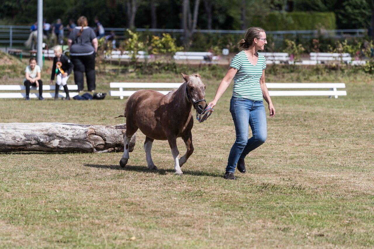 Bild 11 - Pony Akademie Turnier